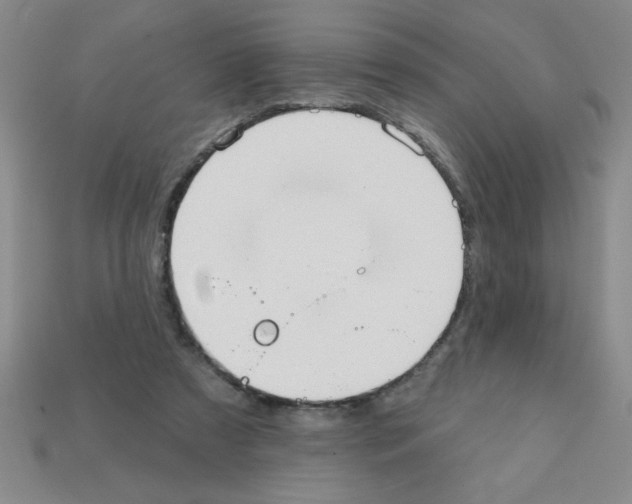 X0000111940305200909071305