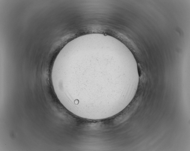 X0000111940306200909071305