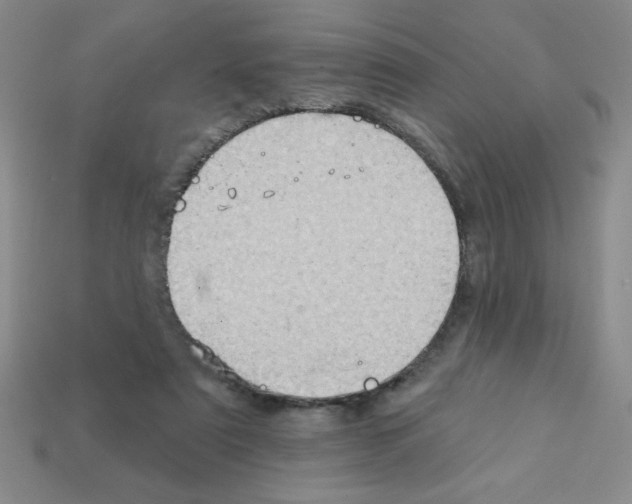 X0000111940307200909071305