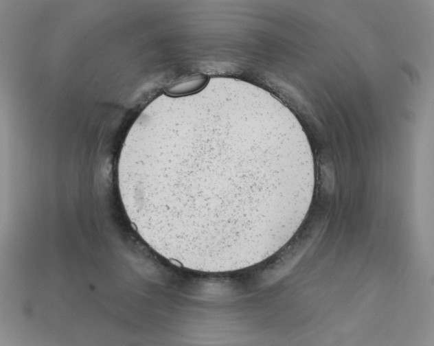 X0000111940308200909071305