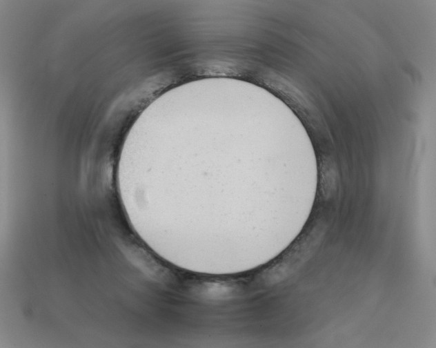 X0000111940310200909071305