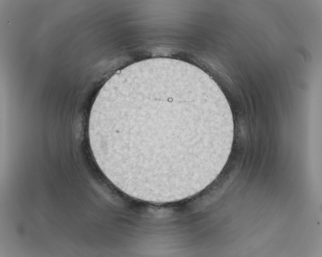 X0000111940311200909071305