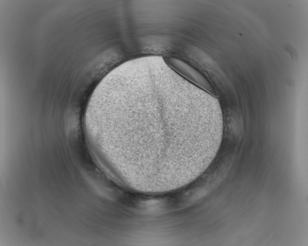 X0000111940312200909071305