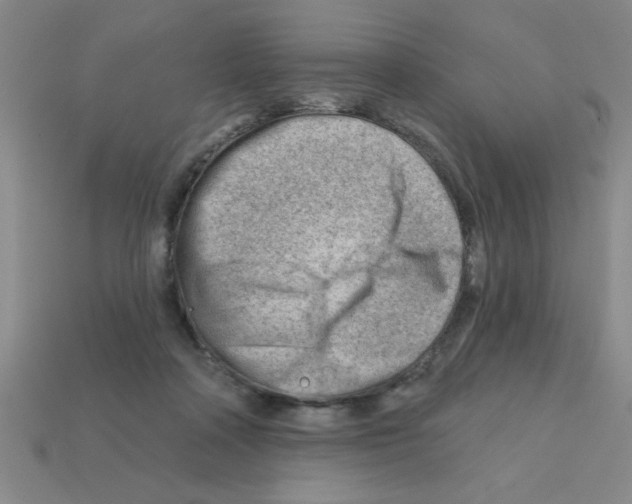 X0000111940314200909071305