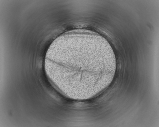 X0000111940315200909071305