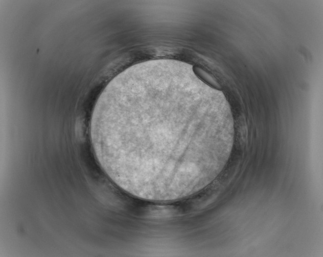 X0000111940316200909071305