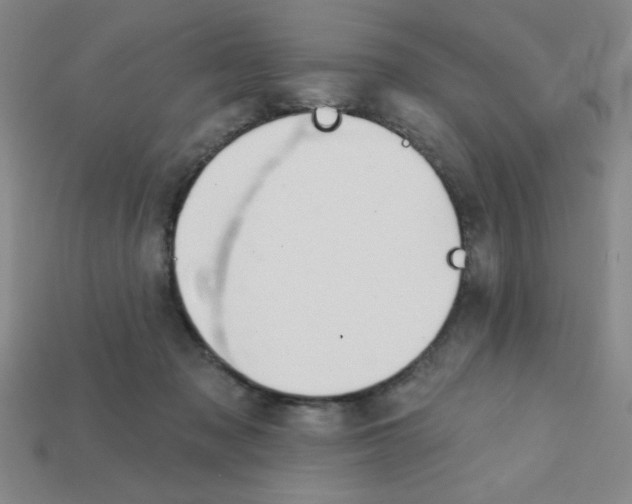 X0000111940317200909071305