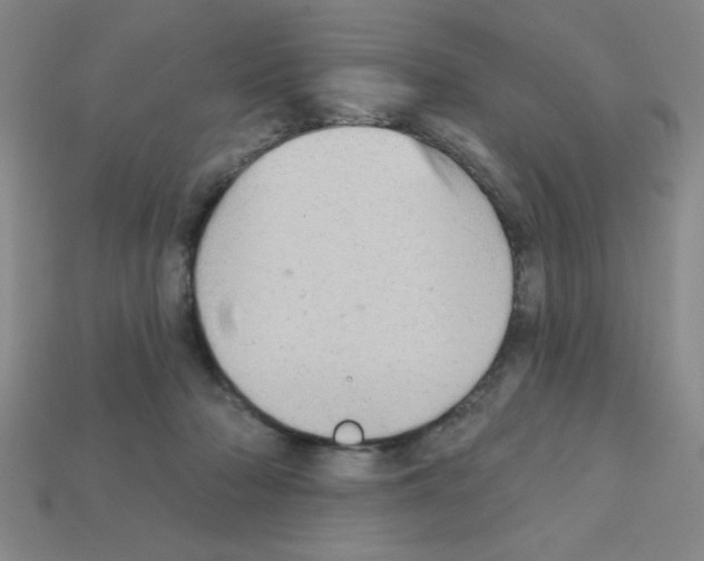 X0000111940318200909071305