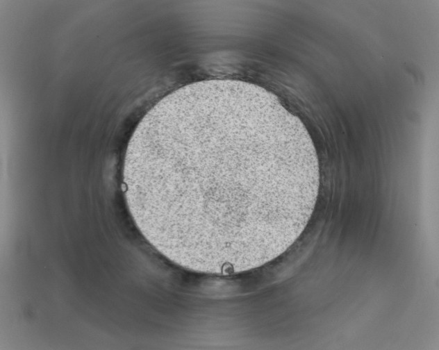 X0000111940319200909071305