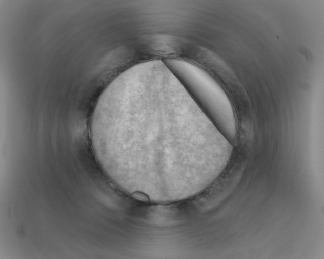 X0000111940320200909071305