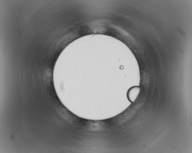 X0000111940321200909071305