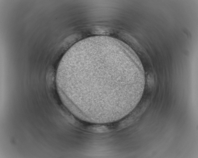 X0000111940322200909071305