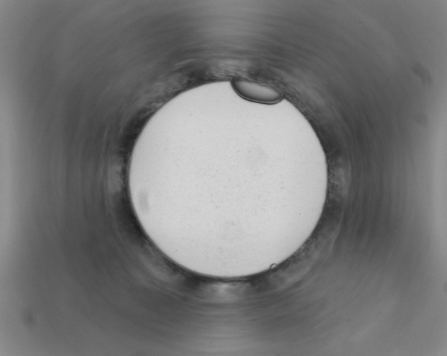 X0000111940323200909071305