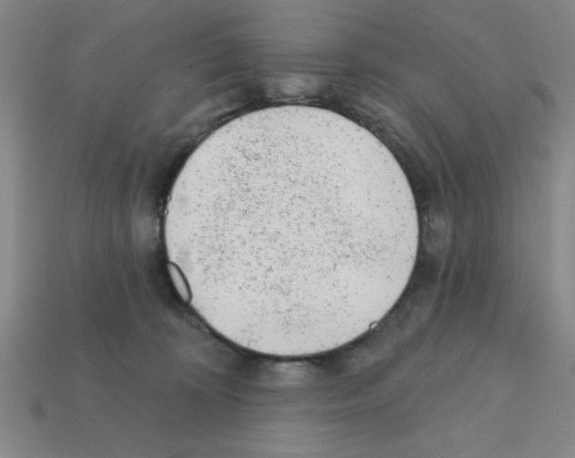 X0000111940324200909071305