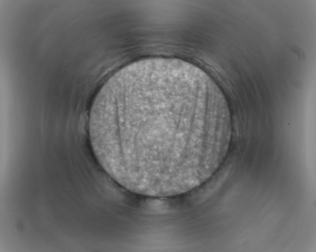 X0000111940325200909071305