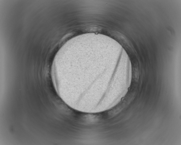 X0000111940326200909071305
