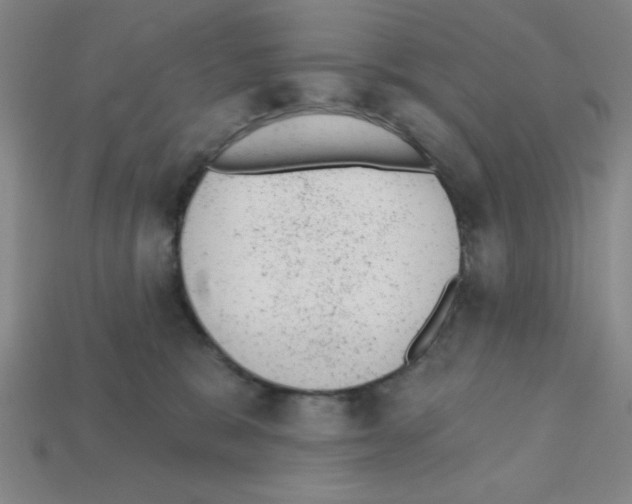 X0000111940327200909071305