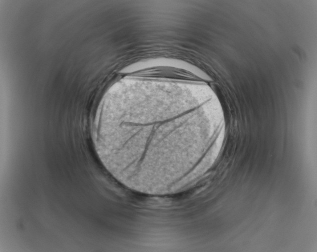 X0000111940328200909071305