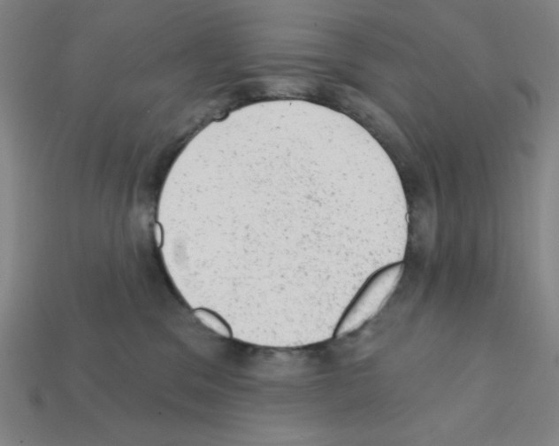 X0000111940329200909071305