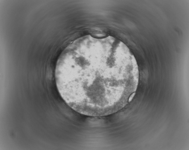 X0000111940331200909071305