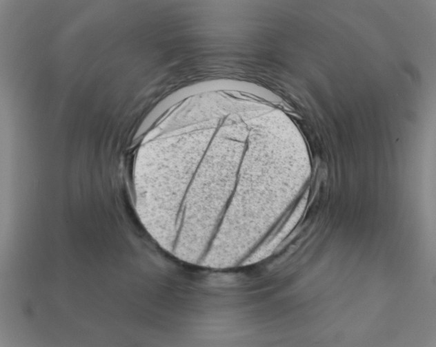 X0000111940332200909071305