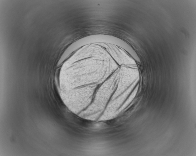 X0000111940333200909071305