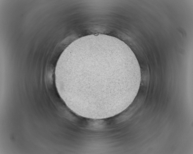 X0000111940334200909071305