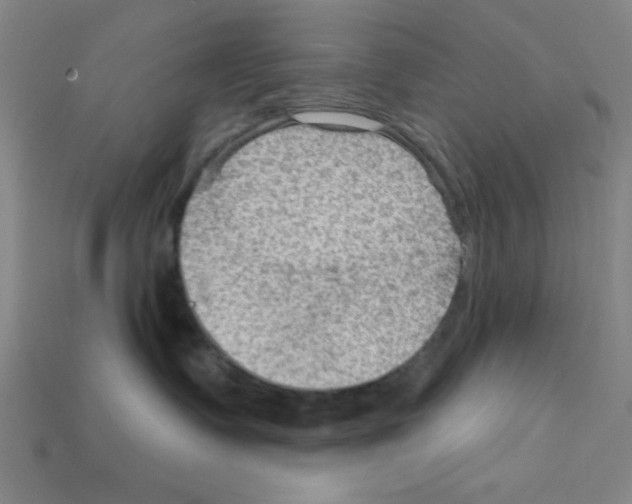 X0000111940335200909071305