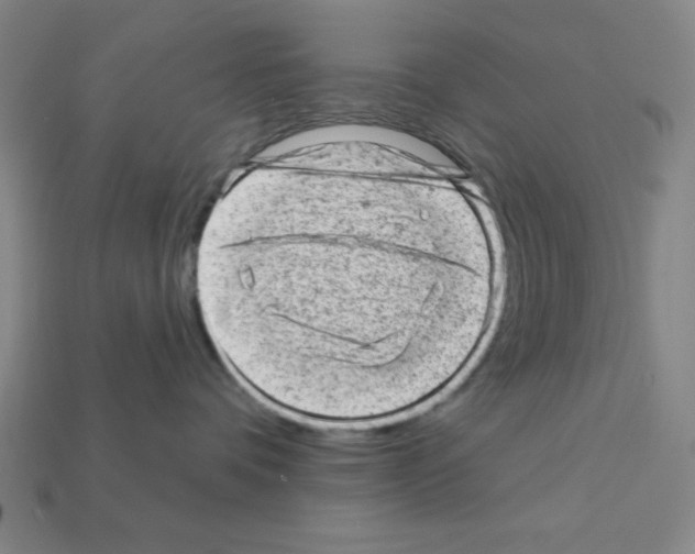 X0000111940336200909071305
