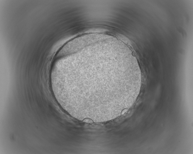 X0000111940337200909071304