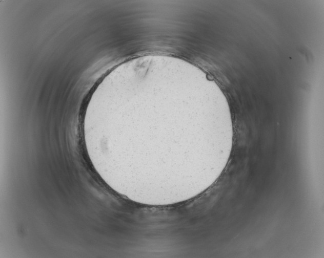X0000111940338200909071304