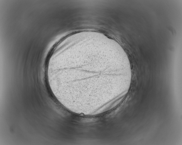 X0000111940342200909071304