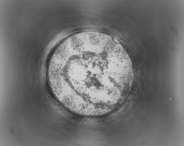 X0000111940343200909071304