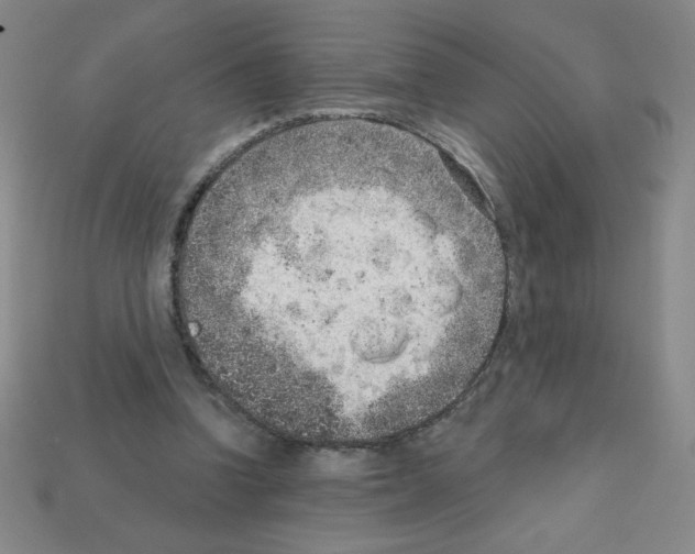 X0000111940346200909071304