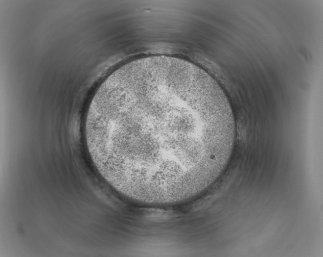 X0000111940347200909071304