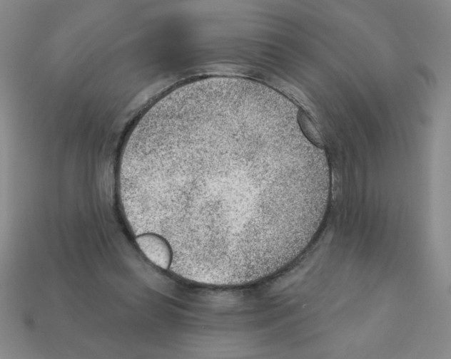 X0000111940349200909071304