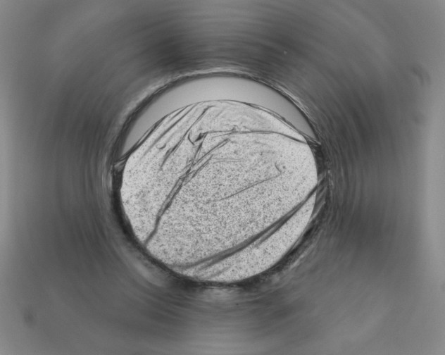 X0000111940350200909071304