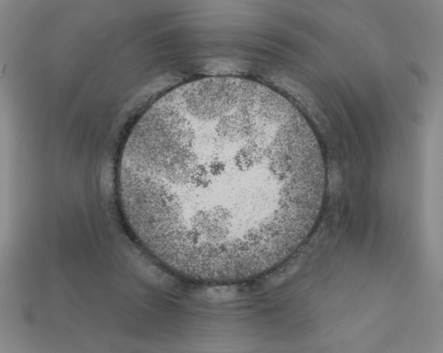 X0000111940353200909071304