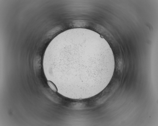 X0000111940356200909071304