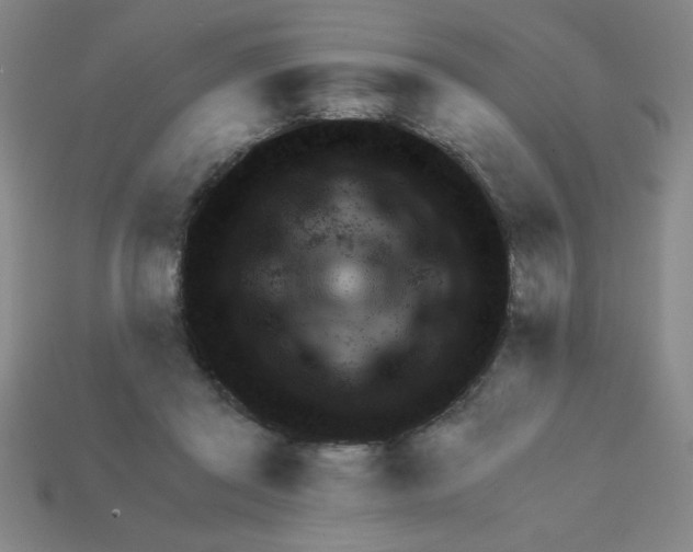 X0000111940357200909071304