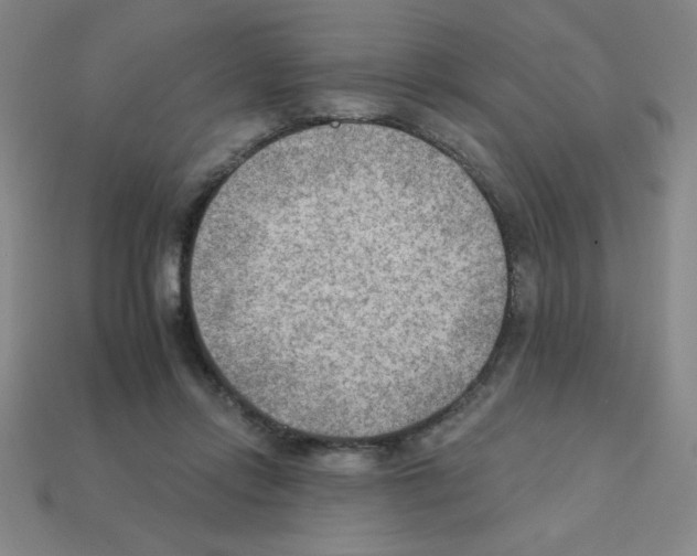 X0000111940358200909071304