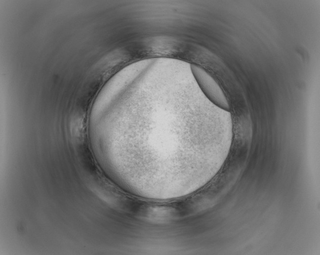 X0000111940360200909071304