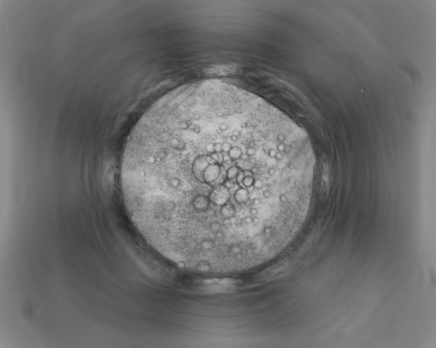 X0000111940363200909071304
