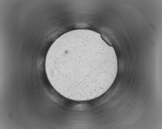 X0000111940364200909071304