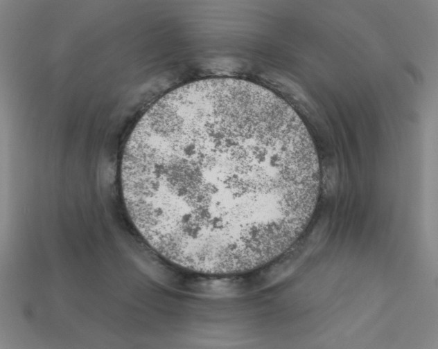 X0000111940365200909071304