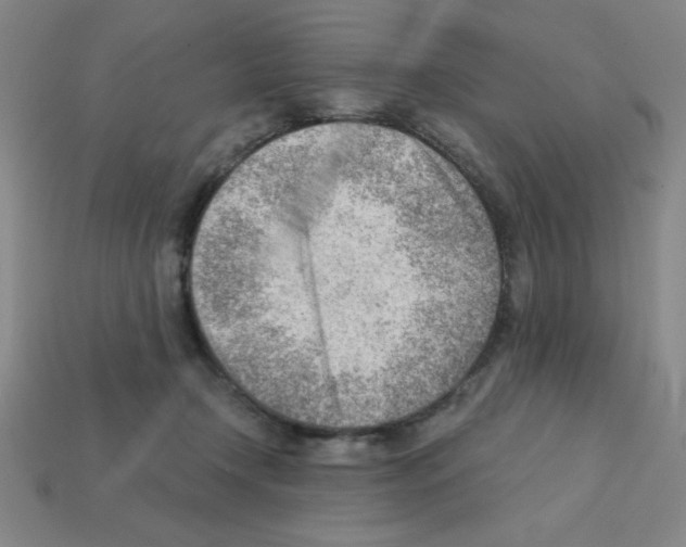 X0000111940366200909071304