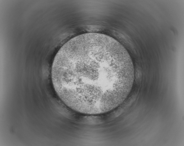 X0000111940367200909071304