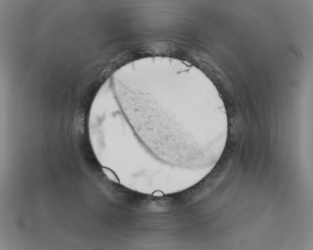 X0000111940368200909071304