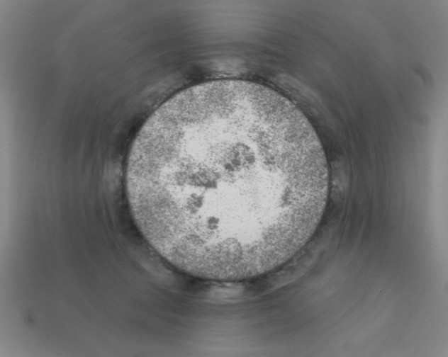 X0000111940369200909071304