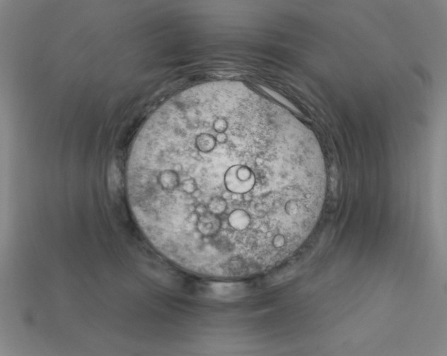 X0000111940371200909071304